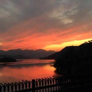 淫亂人妻西野翔
